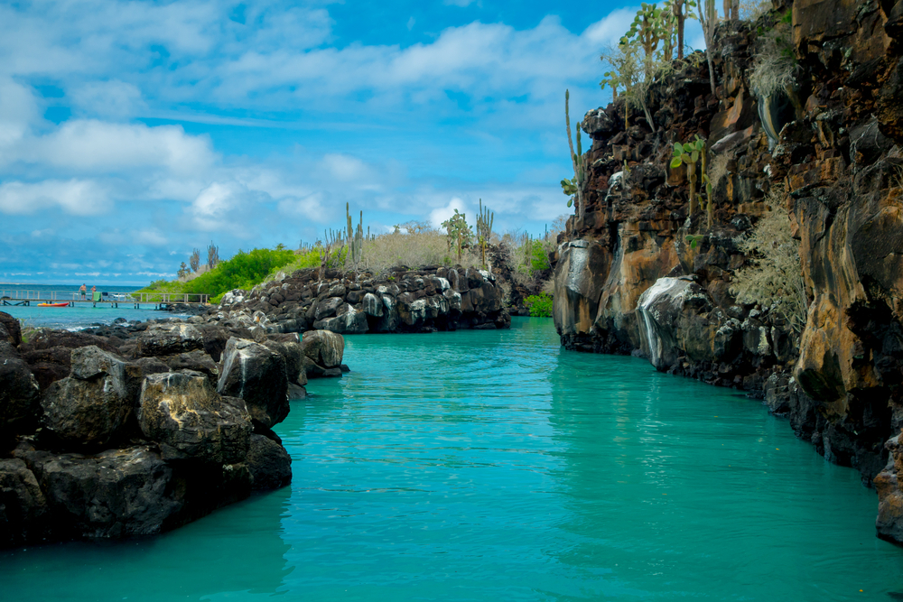 Fascinating Galapagos Islands Hopping Tours Cuscunga Tour Travel